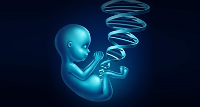 Dr. Harun Egemen Tolunay, Perinatoloji, Gebelik Takibi, Gebelik Evreleri, Bebek Gelişimi, Rutin Gebelik Takibi , Yüksek Riskli Gebelik, Tarama Testleri, Fetal DNA Analizi, Şeker Yükleme Testi, Gebelikte Beslenme, Gebelikte Egzersiz, COVID-19 ve Gebelik, Detaylı Ultrasonografi, 11-14 Hafta Ultrasonografisi, Detaylı Organ Ultrasonografisi, Fetal Ekokardiyografi, Doppler, 3D/4D Ultrasonografi, Fetal İşlemler, CVS (Koryon Villus Biyopsisi), Amniyosentez, Kordosentez, İntrauterin Transfüzyon, Fetal Redüksiyon, Fetal Şant, Radyofrekans Ablasyon, Fetoskopi, Jinekoloji, Jinekolojik Muayene, Smear, Tekrarlayan Gebelik Kaybı, Operasyonlar, Normal Vajinal Doğum, Sezaryen, Serklaj, Histerektomi, Myomektomi, Histeroskopi, Laparoskopi