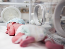 Dr. Harun Egemen Tolunay, Perinatoloji, Gebelik Takibi, Gebelik Evreleri, Bebek Gelişimi, Rutin Gebelik Takibi , Yüksek Riskli Gebelik, Tarama Testleri, Fetal DNA Analizi, Şeker Yükleme Testi, Gebelikte Beslenme, Gebelikte Egzersiz, COVID-19 ve Gebelik, Detaylı Ultrasonografi, 11-14 Hafta Ultrasonografisi, Detaylı Organ Ultrasonografisi, Fetal Ekokardiyografi, Doppler, 3D/4D Ultrasonografi, Fetal İşlemler, CVS (Koryon Villus Biyopsisi), Amniyosentez, Kordosentez, İntrauterin Transfüzyon, Fetal Redüksiyon, Fetal Şant, Radyofrekans Ablasyon, Fetoskopi, Jinekoloji, Jinekolojik Muayene, Smear, Tekrarlayan Gebelik Kaybı, Operasyonlar, Normal Vajinal Doğum, Sezaryen, Serklaj, Histerektomi, Myomektomi, Histeroskopi, Laparoskopi